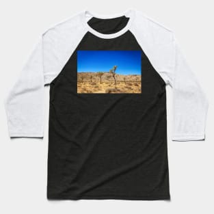 Joshua Tree National Park Baseball T-Shirt